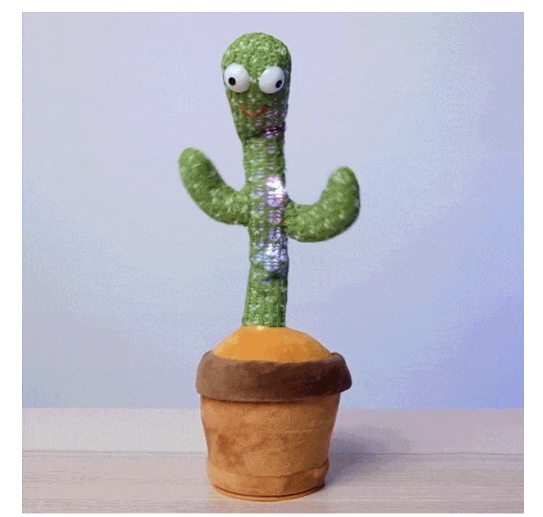 Cactus Alive Dancing Cactus