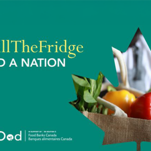 Fill the Fridge