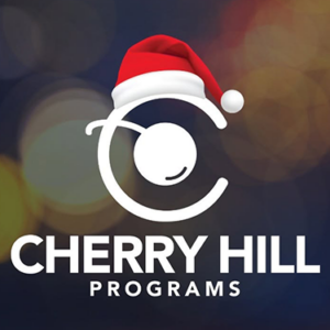 Seasonal Holiday Sales Associate