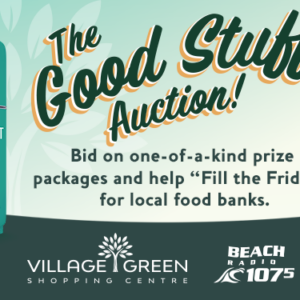 The Good Stuff Auction